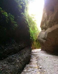 برای رسیدن به کول خرسان باید از مسیر روستای بیشه بزان  راهی شوید