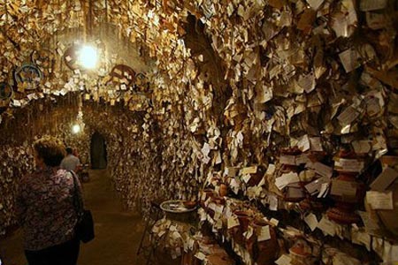 معرفی موزهای با 16000 نوع مو