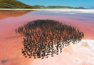 دریاچه نمک بختگان