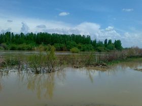 روستای بسطام