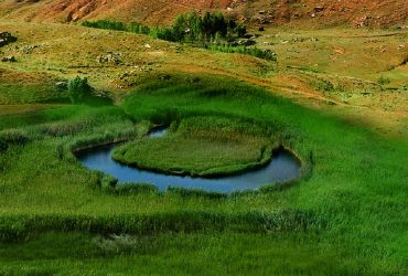 چمن متحرک تکاب