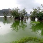 تالاب استیل