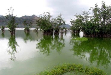 تالاب استیل