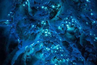 غارهای نیوزیلند