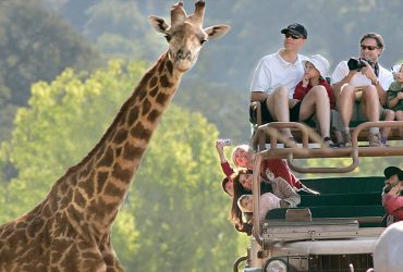 ویزای آفریقای جنوبی