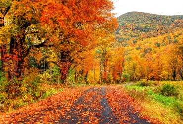 مناظر پاییز