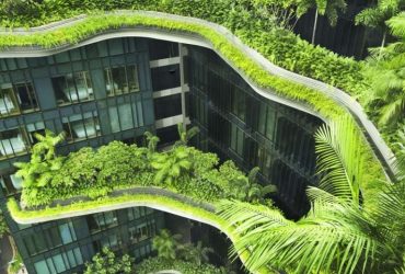 برج پارک رویال