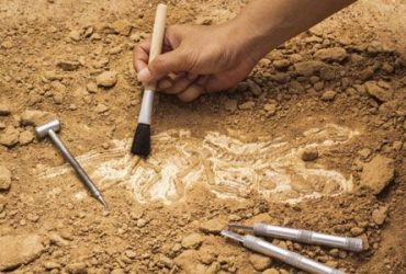 باستان شناسی در شکارگاه خسرو