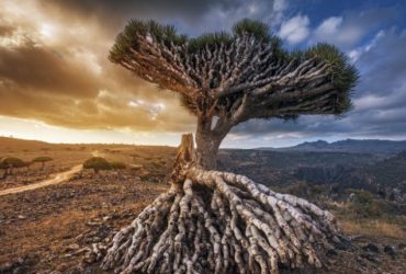 سرزمین های ناشناخته