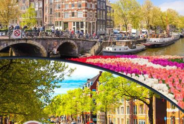 مهاجرت به هلند