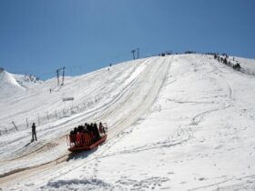 سورتمه سواری توچال